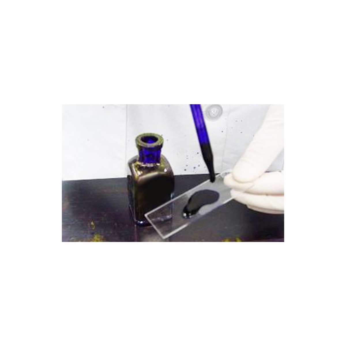 Crystal Violet Stain